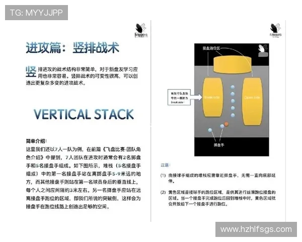 飞盘新手必看：从基础到战术的全面入门指南与技巧分享
